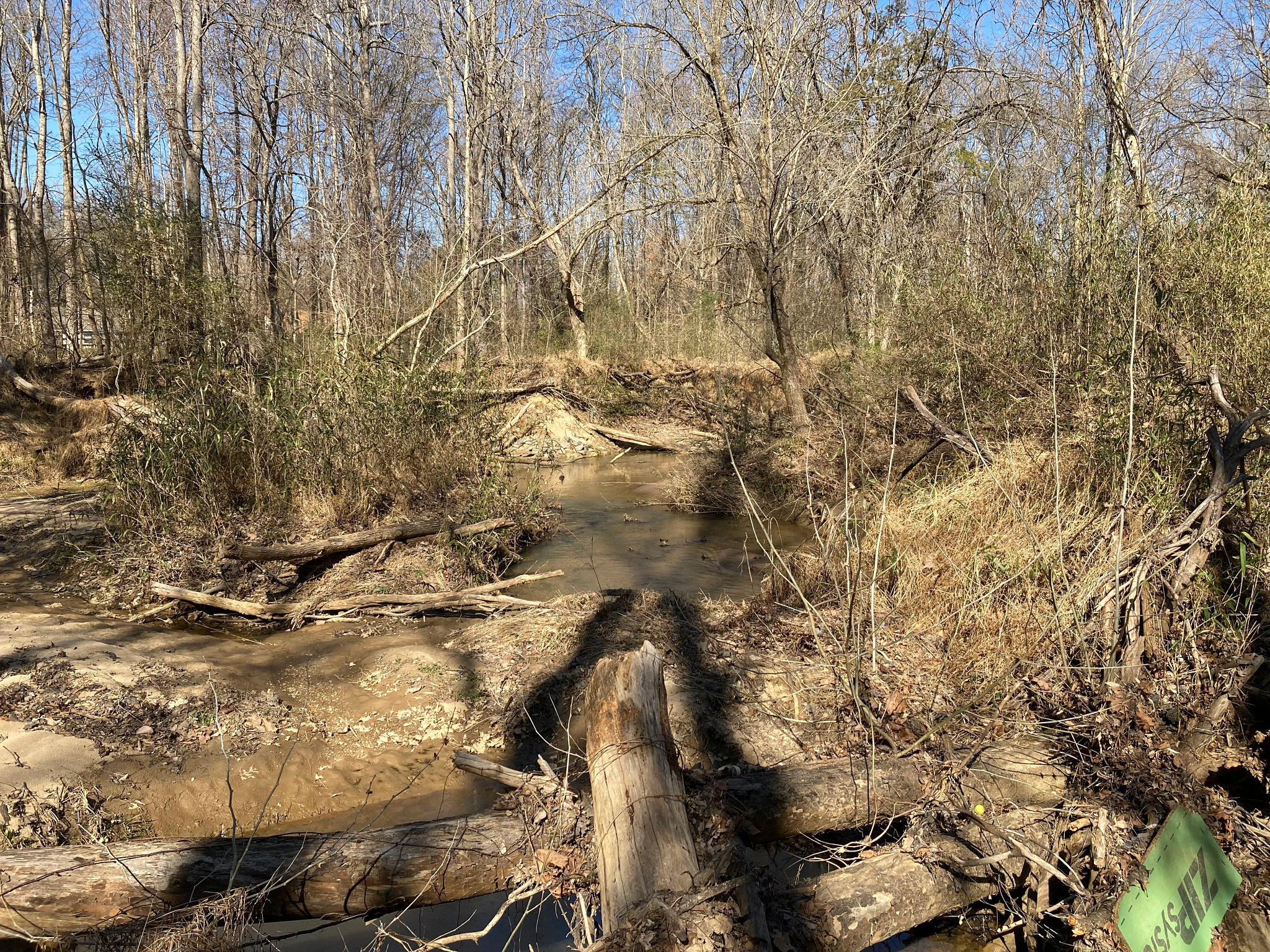 Reedy Creek on a sunny day