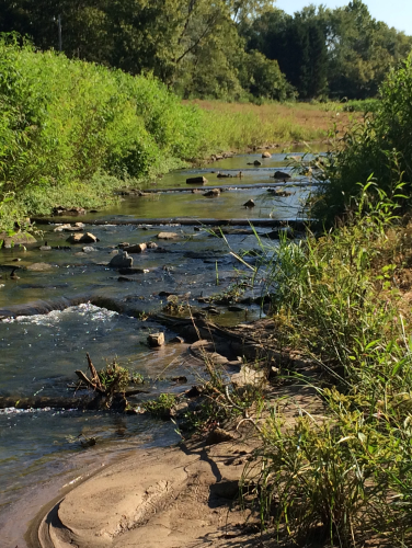 View of a creek